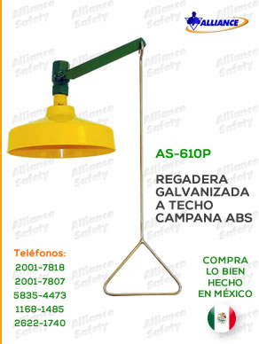 Regadera sencilla a techo (AS-610)