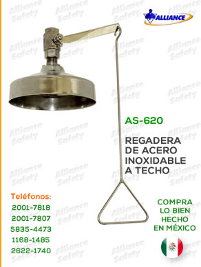 Regadera sencilla de acero inoxidable a techo (AS-610)