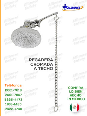 Regadera sencilla a techo (AS-610)